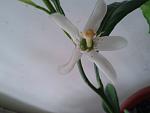     
: 2014-06-04 06.54.54.jpg
: 10
:	283.9 
ID:	8254328