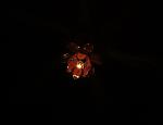     
: DSCF07631.jpg
: 31
:	37.4 
ID:	82551