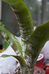     
: DSC01241.jpg
: 8
:	71.0 
ID:	8255786