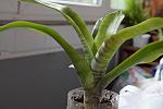     
: DSC01246.jpg
: 7
:	93.2 
ID:	8255790