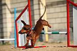     
: IMG_6130.jpg
: 15
:	64.1 
ID:	8260335