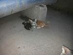     
: 20140605_203301.jpg
: 21
:	99.7 
ID:	8264696