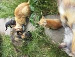    
: 20140605_135531.jpg
: 24
:	303.1 
ID:	8264702