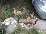     
: 20140605_140143.jpg
: 21
:	286.0 
ID:	8264703