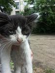     
: 20140605_140320.jpg
: 22
:	94.1 
ID:	8264704