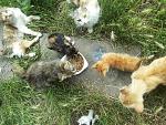     
: 20140605_135453.jpg
: 25
:	304.6 
ID:	8264705