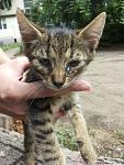     
: 20140605_140308.jpg
: 14
:	125.8 
ID:	8264708