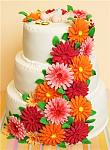     
: e3f9be3d4c61.jpg
: 7
:	31.0 
ID:	8265035