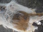     
: DSC03619.jpg
: 4
:	192.9 
ID:	8266410