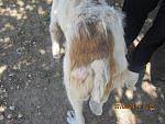     
: IMG_6442.jpg
: 6
:	162.5 
ID:	8266411