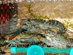    
: DSCN1157.jpg
: 36
:	182.3 
ID:	8266564