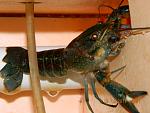     
: DSCN1115.jpg
: 43
:	114.4 
ID:	8266567