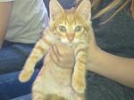     
: 07062014074.jpg
: 12
:	79.1 
ID:	8267081