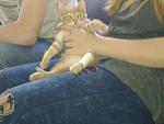     
: 07062014075.jpg
: 12
:	92.0 
ID:	8267082