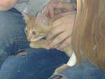     
: 07062014077.jpg
: 11
:	92.5 
ID:	8267083
