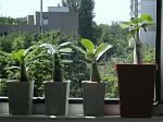     
: GEDC1396 copy.jpg
: 51
:	85.9 
ID:	8267284