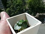     
: GEDC1403 copy.jpg
: 24
:	67.3 
ID:	8267285