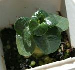     
: GEDC1401 copy.jpg
: 29
:	73.9 
ID:	8267286