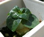     
: GEDC1402 copy.jpg
: 33
:	69.7 
ID:	8267290