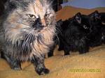     
: y_6773cffa.jpg
: 16
:	168.4 
ID:	8267794