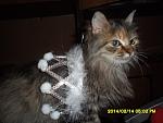     
: SAM_2720.jpg
: 10
:	107.3 
ID:	8267798