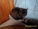     
: SAM_2616.jpg
: 11
:	150.2 
ID:	8267807
