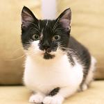     
: DSC_1728.jpg
: 3
:	56.6 
ID:	8268033