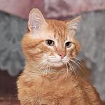     
: DSC_1769.jpg
: 4
:	84.3 
ID:	8269423