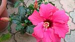     
: DSC05115.JPG
: 6
:	197.8 
ID:	8270163
