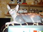    
: IMG_20130515_222157.jpg
: 3
:	117.4 
ID:	8270356