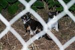     
: DSC_1644.jpg
: 5
:	98.5 
ID:	8271792