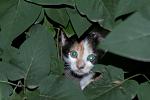     
: DSC_1646.jpg
: 6
:	48.3 
ID:	8271795