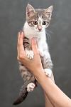     
: DSC_1887_.jpg
: 21
:	44.4 
ID:	8271824