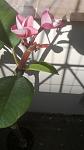     
: WP_20140610_001.jpg
: 5
:	51.1 
ID:	8274752