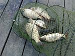     
: 09062014124.jpg
: 34
:	258.6 
ID:	8276715