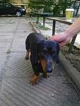     
: aFevd9gsGAY.jpg
: 7
:	53.4 
ID:	8279206