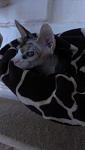     
: IMAG1596.jpg
: 9
:	41.6 
ID:	8279372