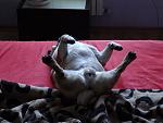     
: DSC00179.jpg
: 37
:	111.1 
ID:	8280003