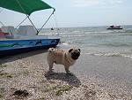     
: DSC00174.jpg
: 35
:	233.0 
ID:	8280005