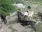     
: IMG_8036.jpg
: 12
:	248.9 
ID:	8282606