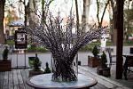     
: IMG_6587-2.jpg
: 6
:	151.7 
ID:	8285723