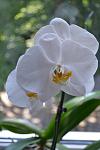     
: DSC_4926.jpg
: 10
:	48.7 
ID:	8286724