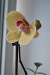     
: DSC_4925.jpg
: 9
:	36.1 
ID:	8286757