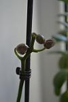     
: DSC_4928.jpg
: 12
:	29.1 
ID:	8286766