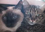     
: IMG_6298.JPG
: 26
:	97.2 
ID:	828882