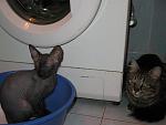     
: IMG_6336.jpg
: 27
:	125.5 
ID:	828883