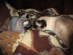     
: IMG_7022.jpg
: 26
:	199.7 
ID:	828884