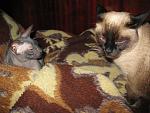     
: IMG_7024.jpg
: 24
:	207.5 
ID:	828886
