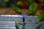     
: DSC_5550.jpg
: 10
:	54.9 
ID:	8289191