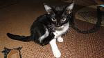     
: DSC02598.jpg
: 9
:	138.0 
ID:	8289236
